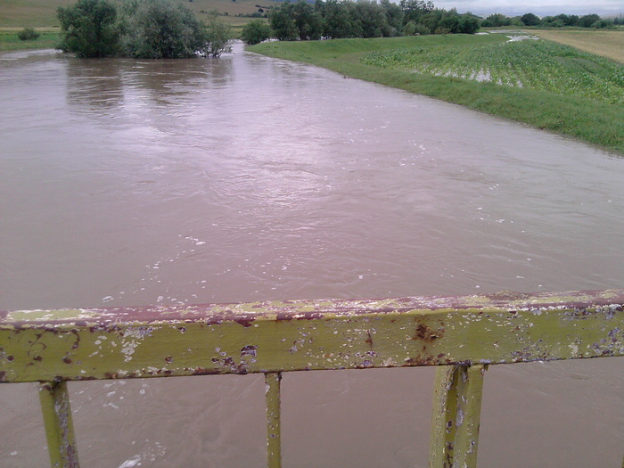 P270610_09.49_[01] - Inundatie la Drauseni BV