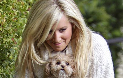 16983104_INEKGLPJY - ashley tisdale