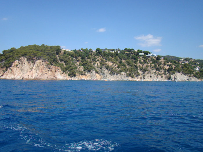 DSC06947