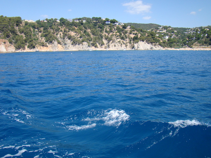 DSC06949