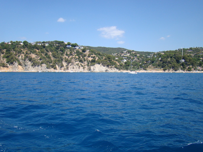 DSC06951