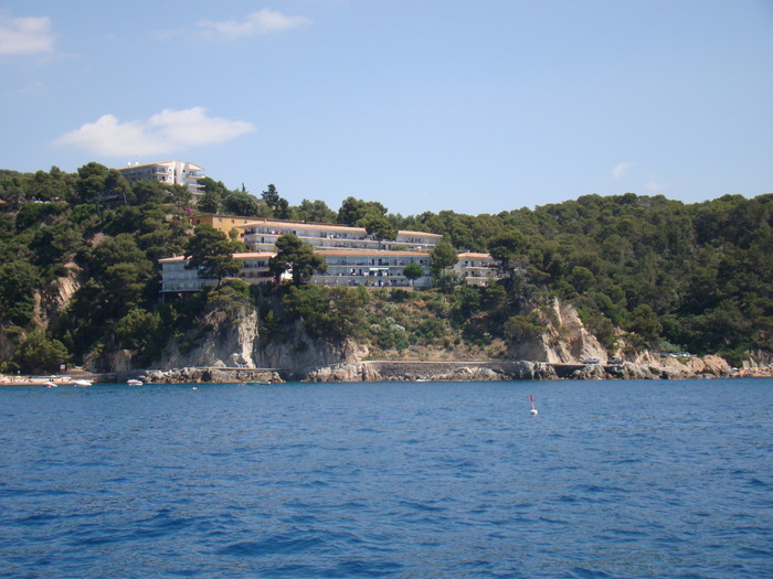 DSC06952