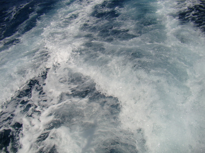 DSC06954