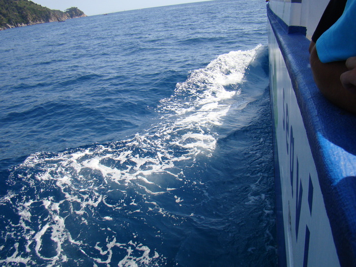 DSC06958