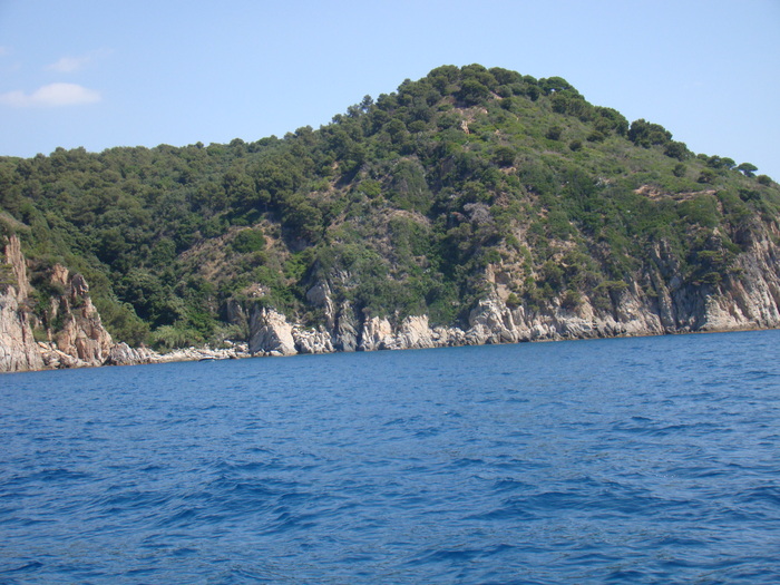DSC06970