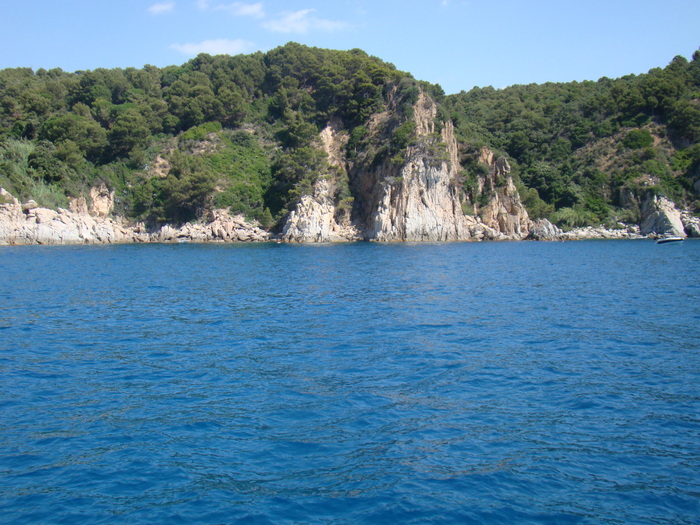 DSC06975