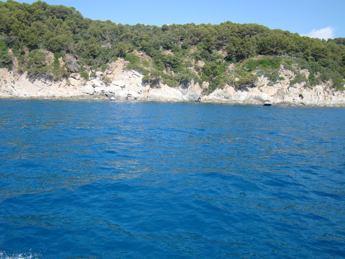 DSC06977
