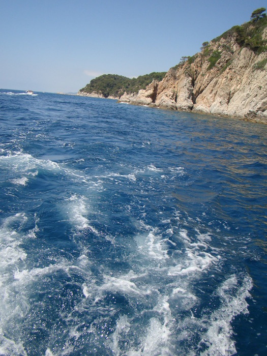 DSC06987