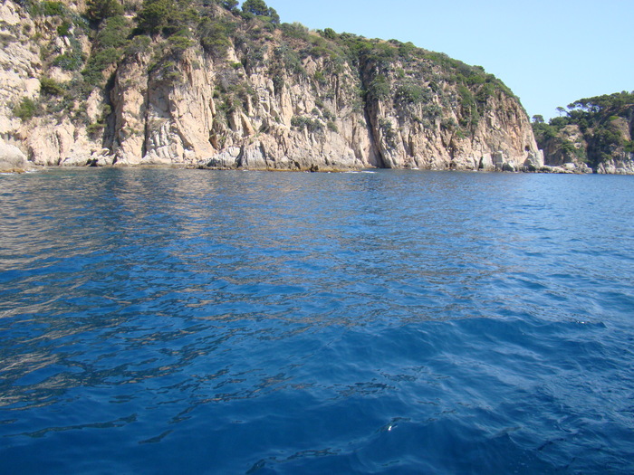 DSC06990