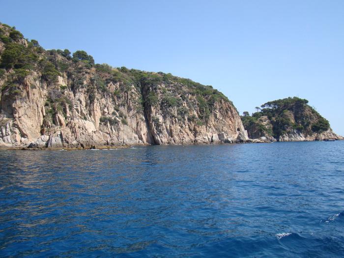 DSC06991