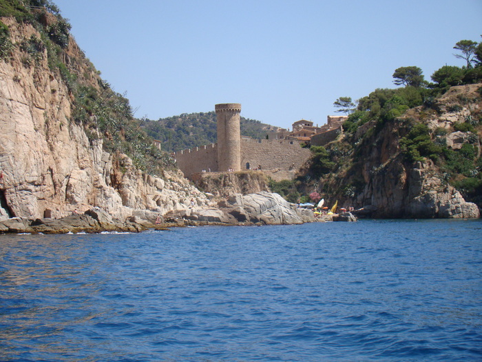 DSC06996