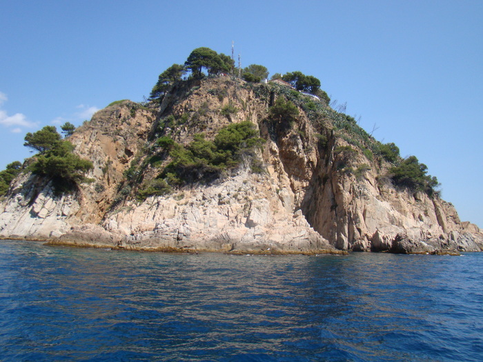 DSC07000