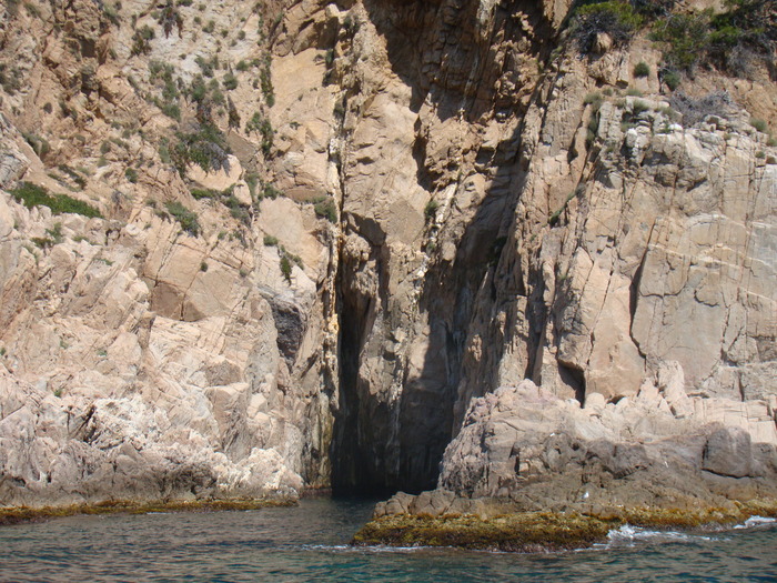 DSC07003
