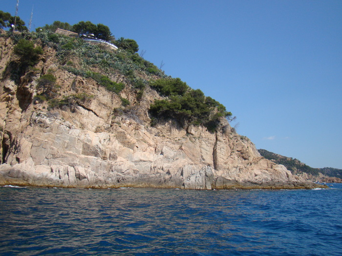 DSC07004