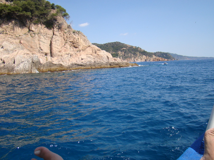 DSC07005
