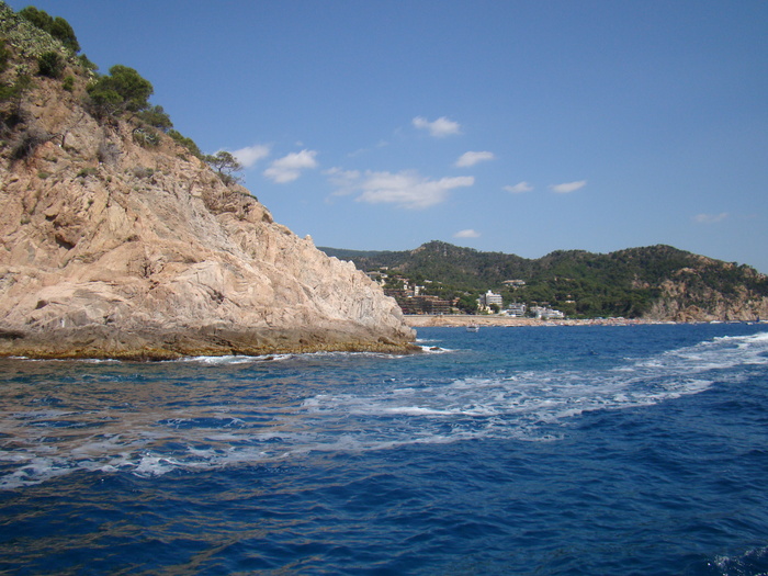 DSC07008