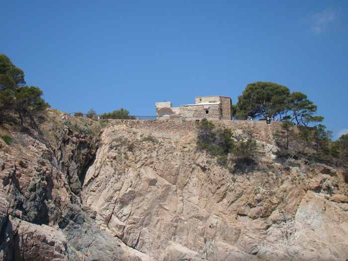 DSC07013