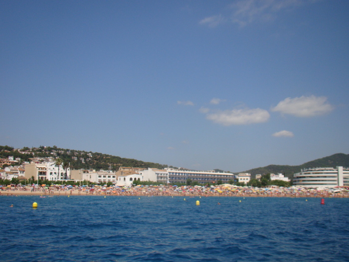 DSC07019