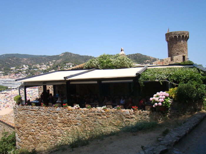 DSC07061