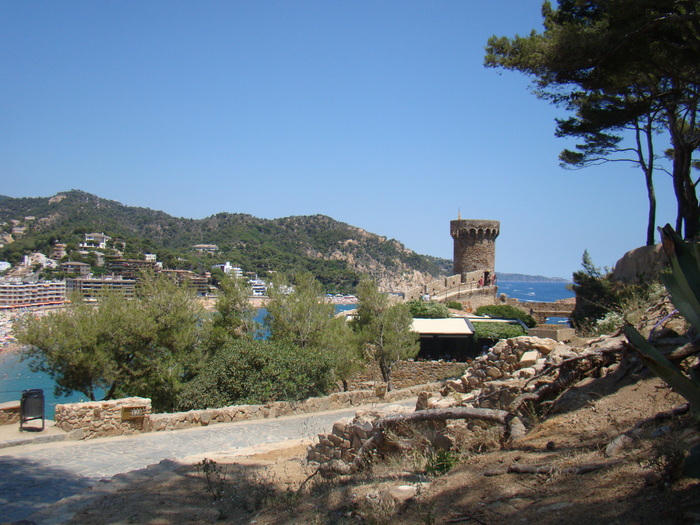 DSC07063
