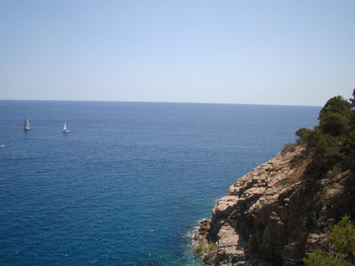 DSC07074