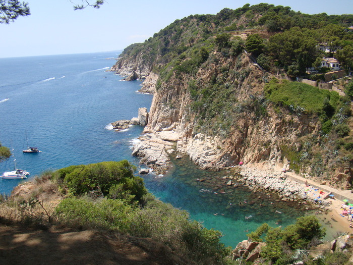 DSC07082