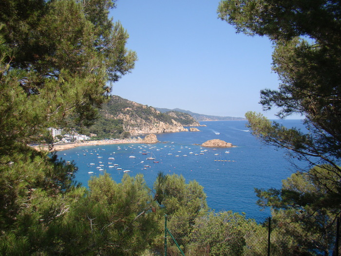DSC07122