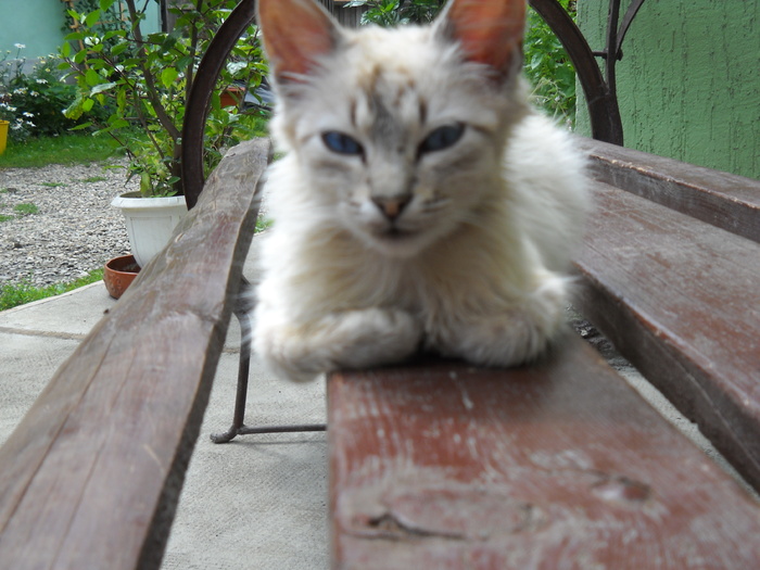 echilibru si simetrie perfecte