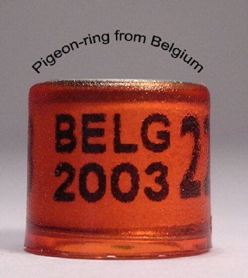 Belgium1 - Inele vechi din toata lumea 2