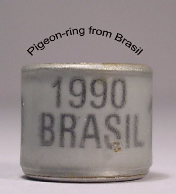 Brasil1 - Inele vechi din toata lumea 2
