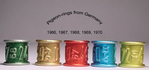 Germany_19701 - Inele vechi din toata lumea 2