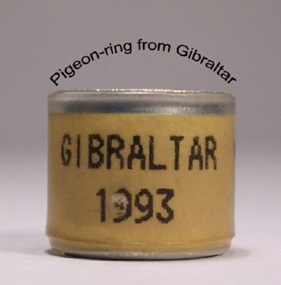 Gibraltar1 - Inele vechi din toata lumea 2