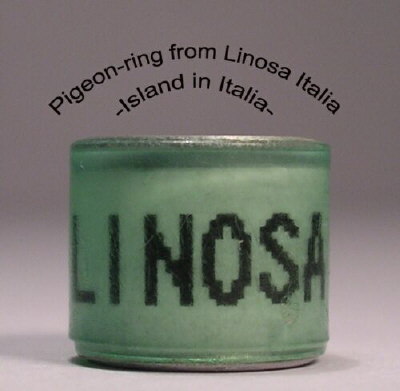 Linosa1