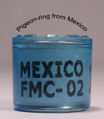 Mexico1