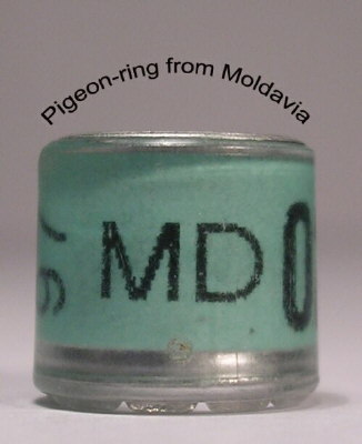 Moldavia1