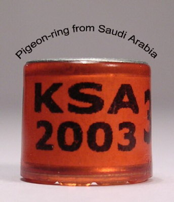 Saudi_Arabia1