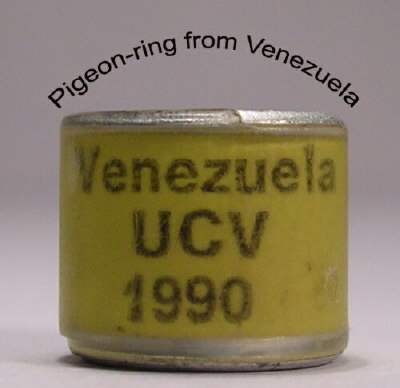 Venezuela1 - Inele vechi din toata lumea 2