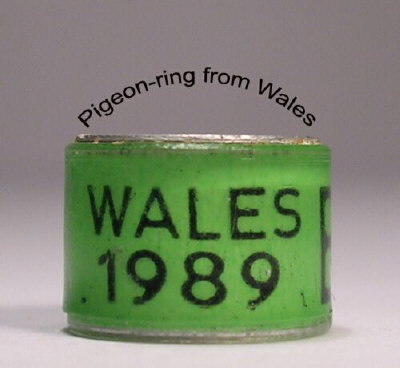 Wales1 - Inele vechi din toata lumea 2