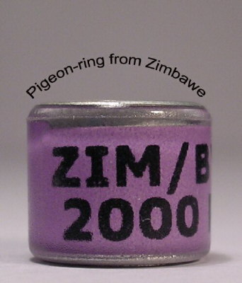 Zimbawe1 - Inele vechi din toata lumea 2
