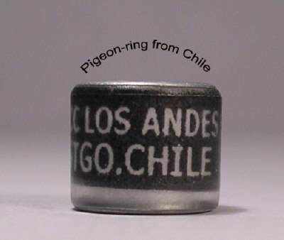 Chile1