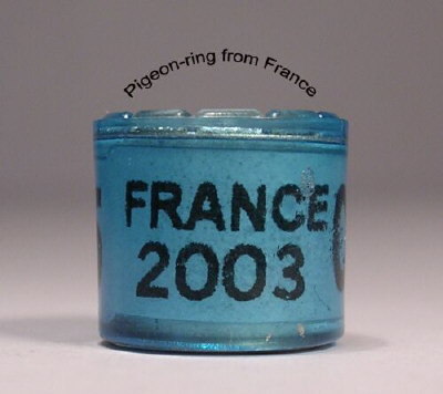 France1 - Inele vechi din toata lumea 2