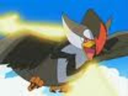 images - pokemon