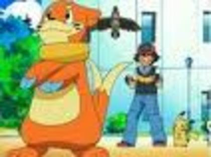 FMICAX1JNA - pokemon