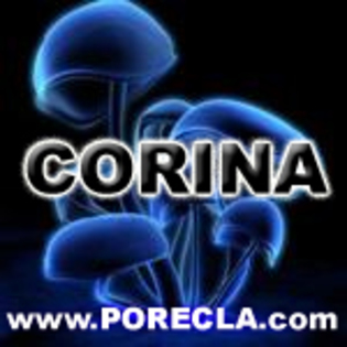 541-CORINA%20avatare%20marfa%20cu%20nume - Poze Corina