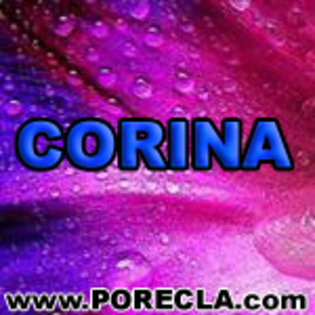 541-CORINA%20ingineru - Poze Corina