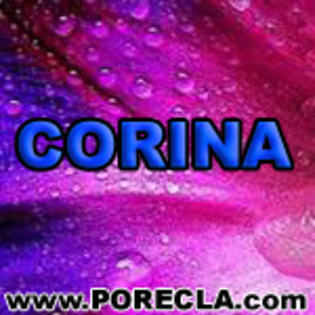 541-CORINA%20ingineru