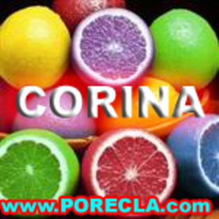 541-CORINA%20lamaia%20(Custom) - Poze Corina