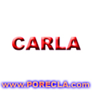 530-CARLA%20alb%20min - Poze Carla