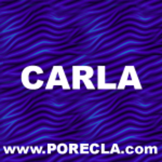 530-CARLA%20albastru%20mazim