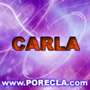 530-CARLA%20domnul%20verde - Poze Carla